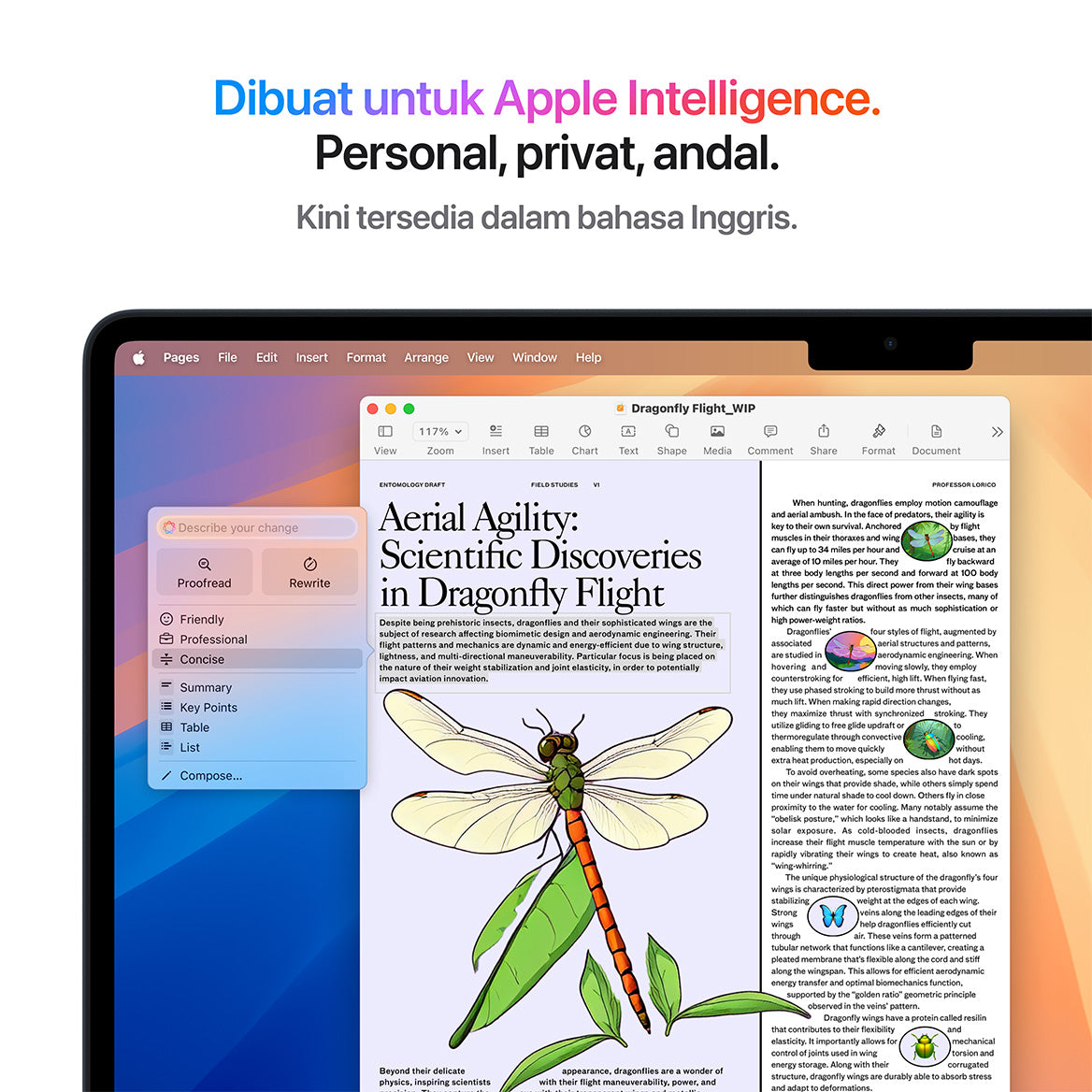 MacBook Air M4 (15 Inci)