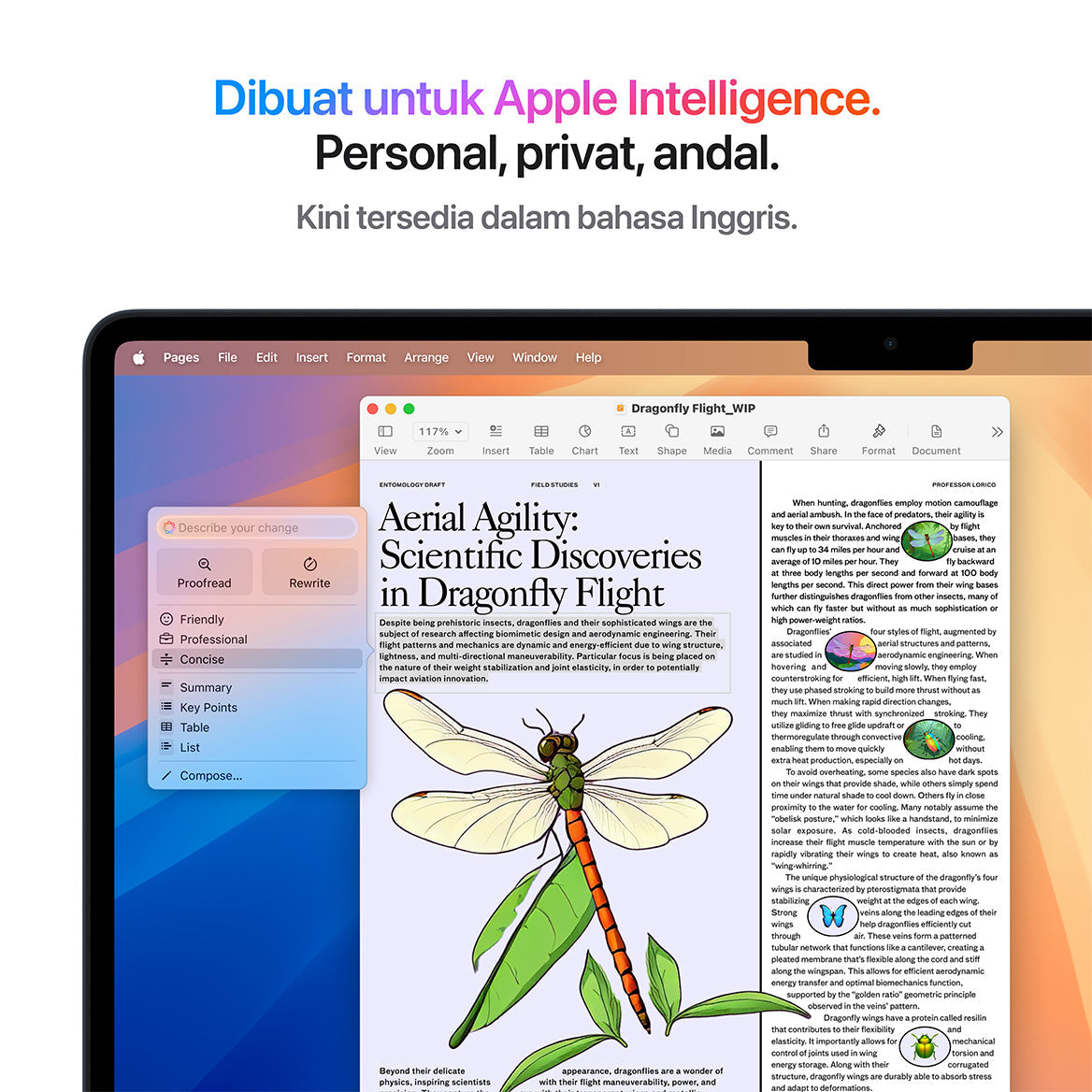 MacBook Air M4 (15 Inci)