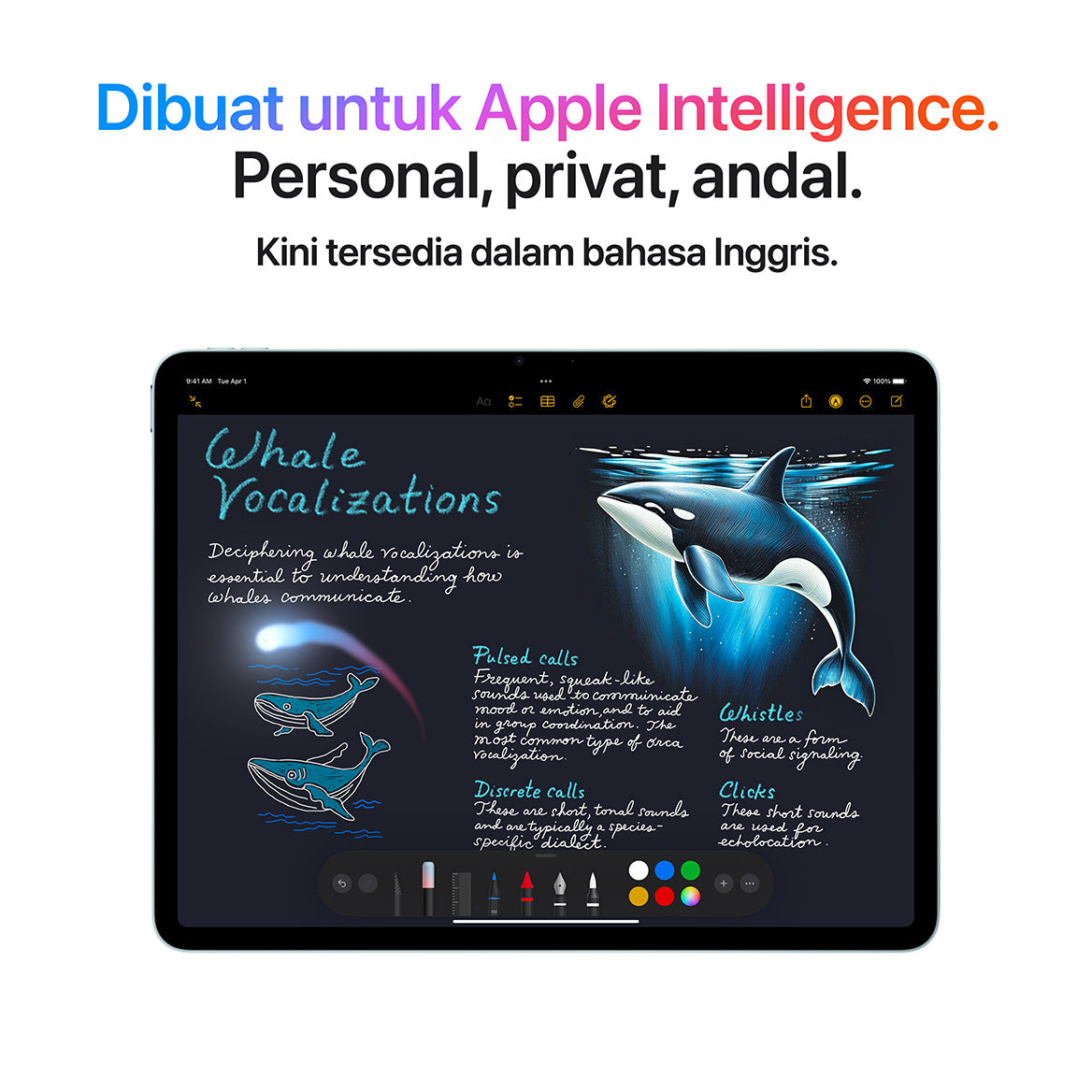 iPad Air M3 (13 Inci)