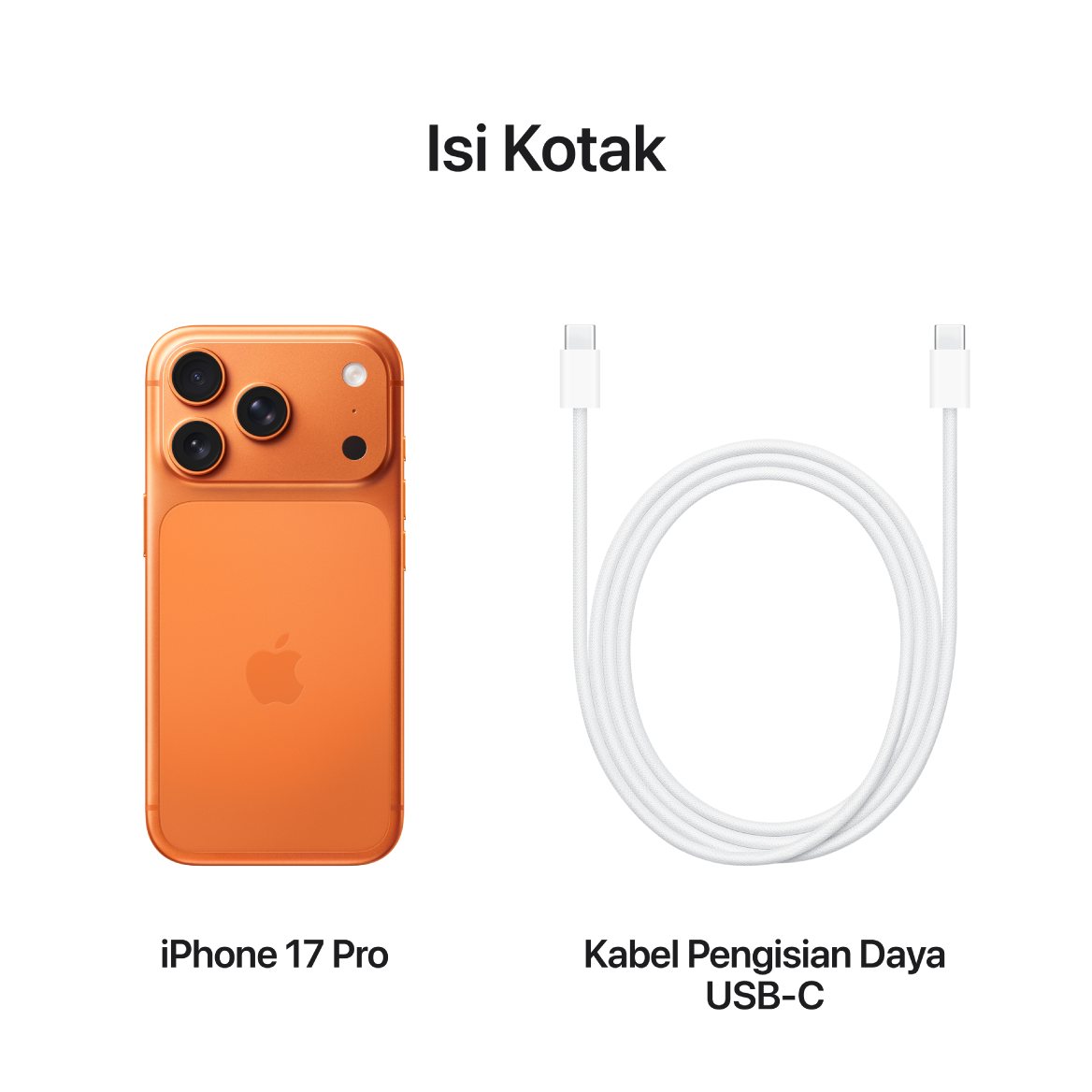 iPhone 17 Pro
