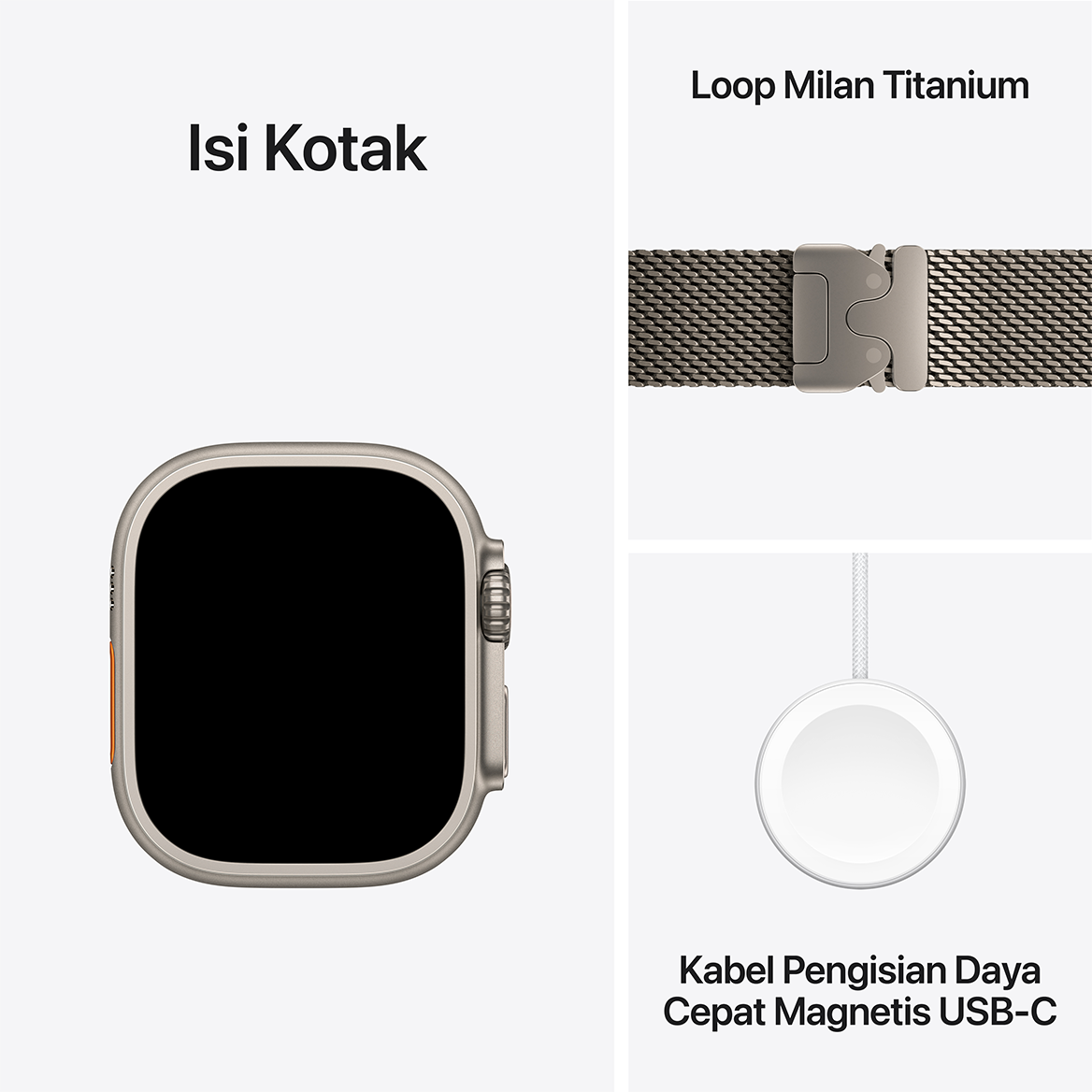 Apple Watch Ultra 2 with Milanese Loop 2024