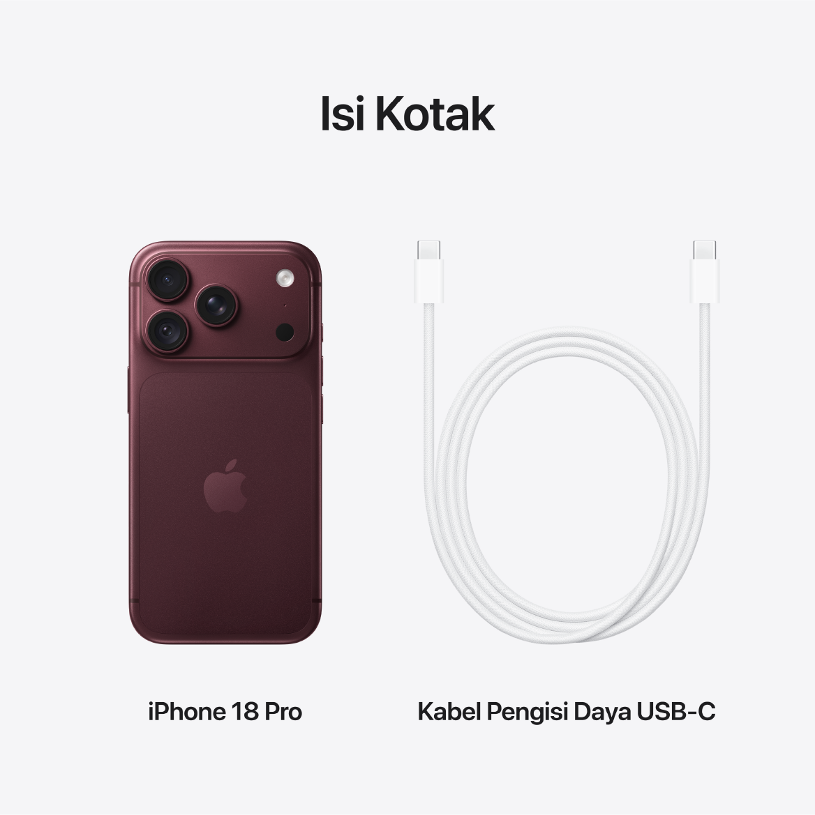 iPhone 18 Pro