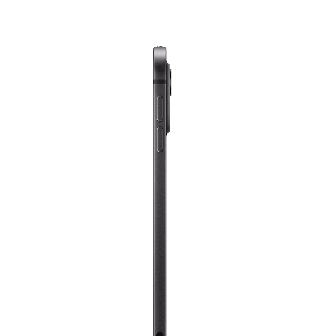 iPad Pro M4 11 Inci (Nano-texture Glass, 2024)