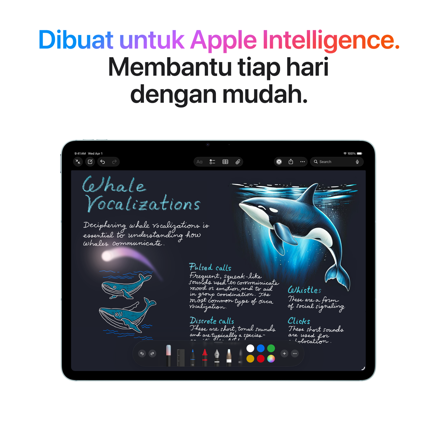 iPad Air M4 (11 Inci)