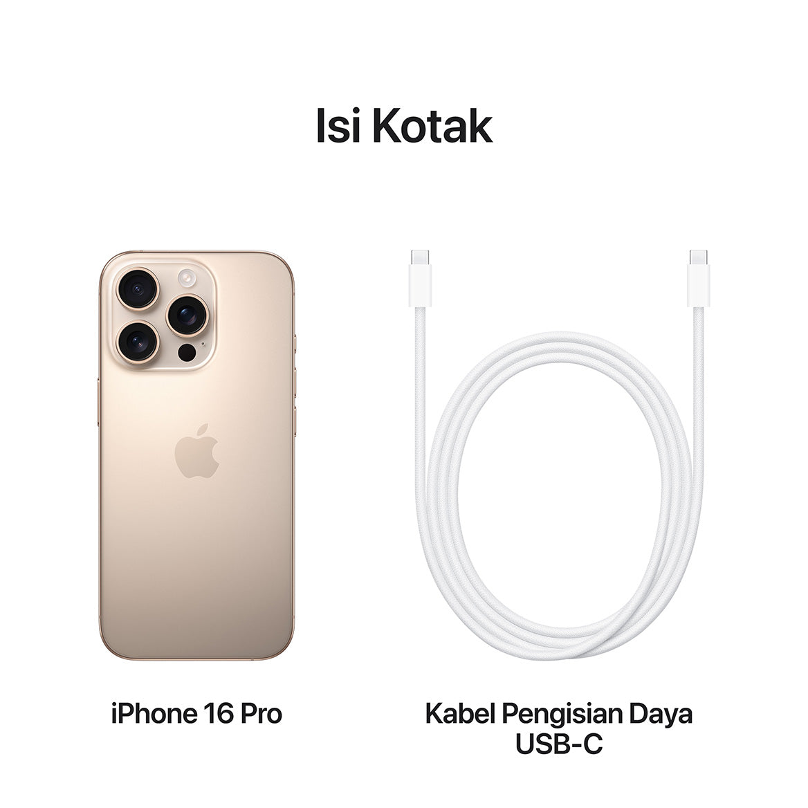 iPhone 16 Pro
