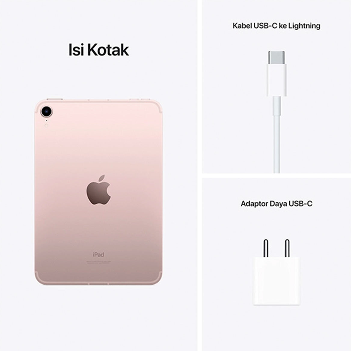 iPad mini Gen 6 pink details