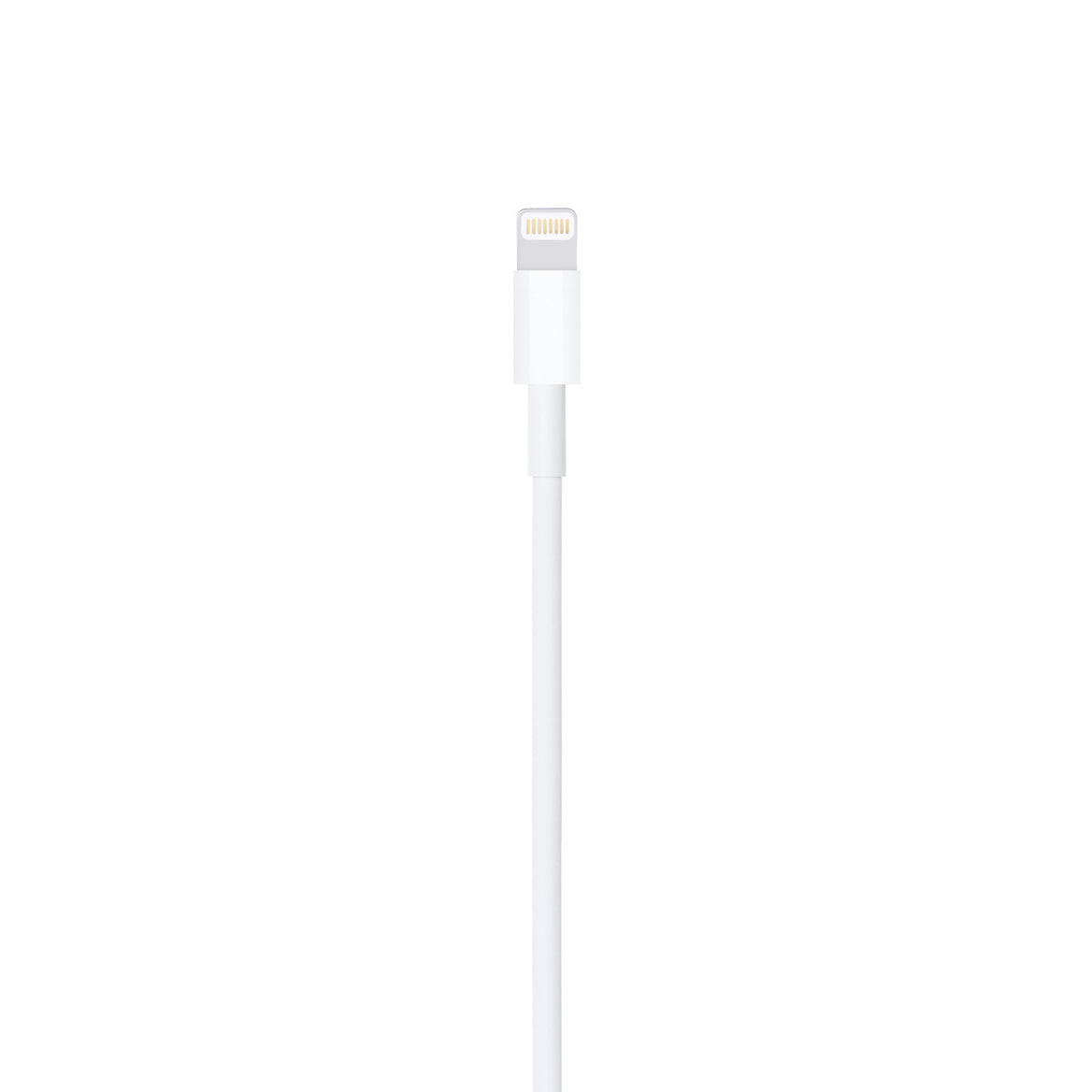 Lightning to USB Cable
