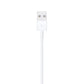 Lightning to USB Cable