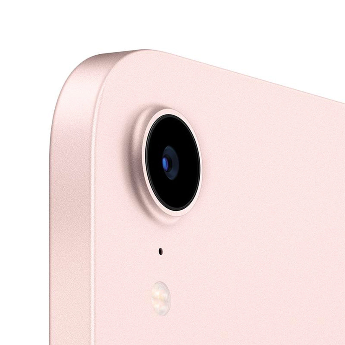 iPad mini Gen 6 pink camera view